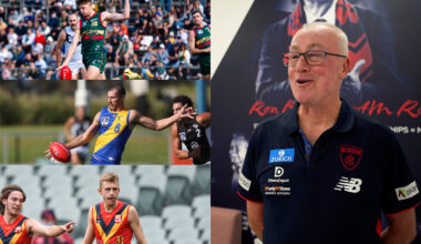 Dees draft three | Taylor's verdict