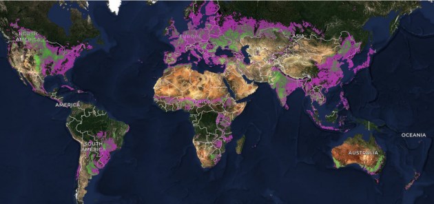 A satellite-derived image of the entire world in Mercator projection, overlaid with various colours that characterise agricultural fields