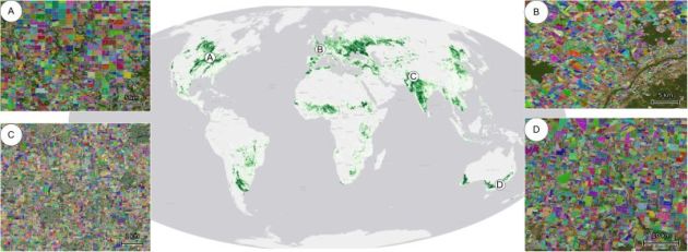 A map of the world overlaid with green areas indicating types of agricultural fields, plus four insets showing more detailed views of landscapes about 20 km across