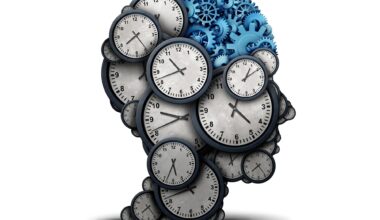 Thinking Time Brain Clocks Gears
