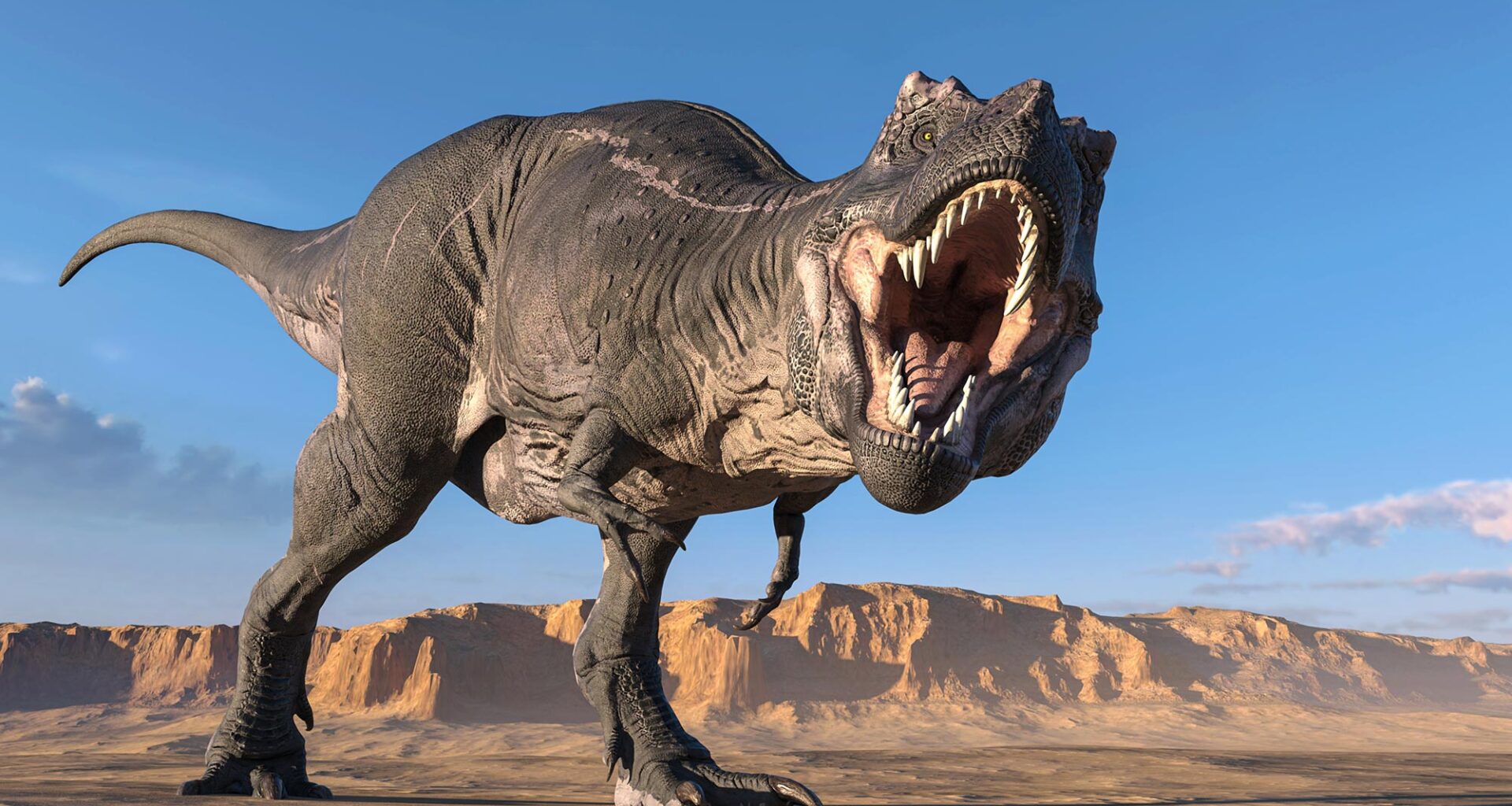 Tyrannosaurus rex Dinosaur Roar