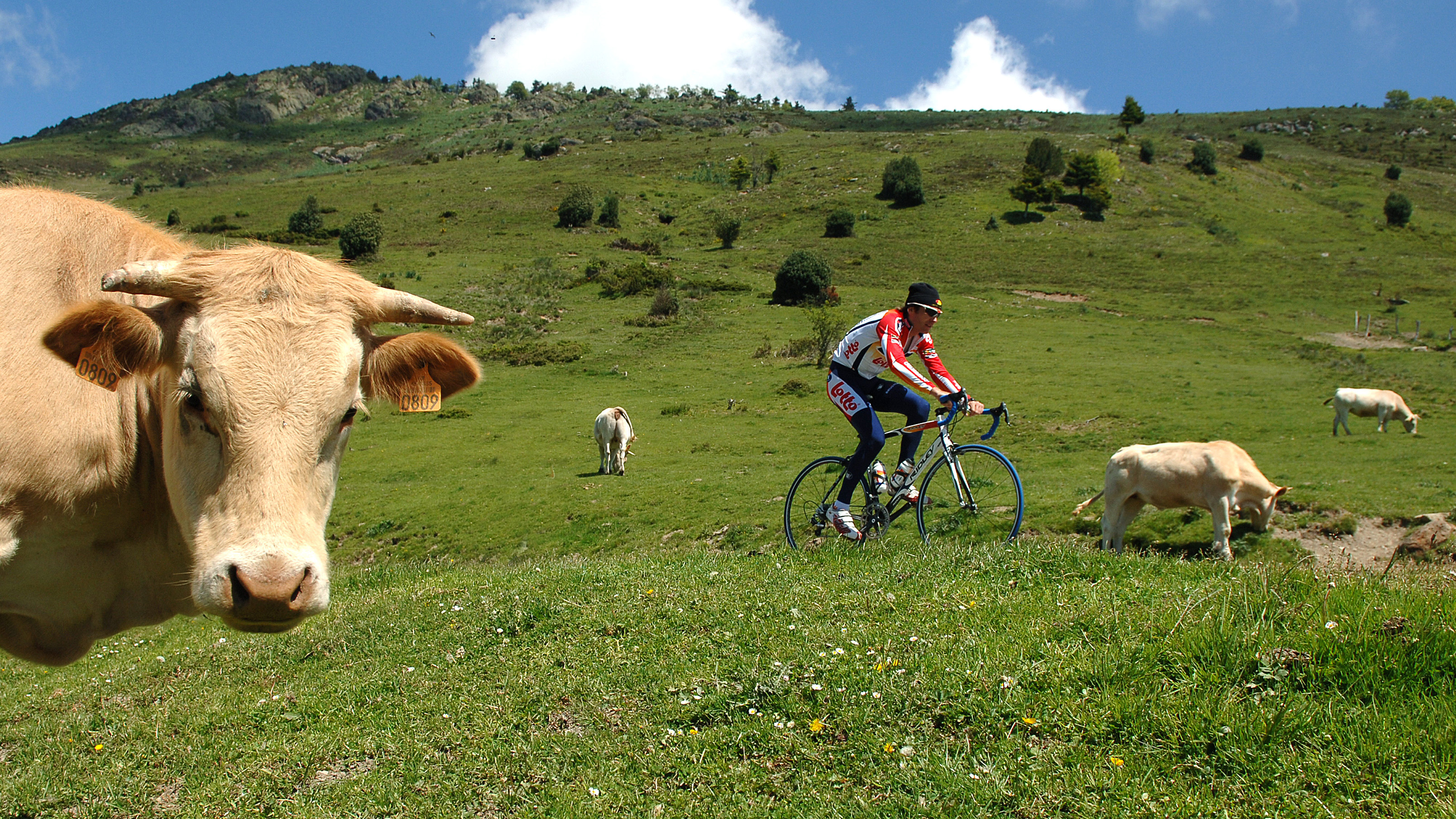Cycling in the Pyrenees Pyreneen