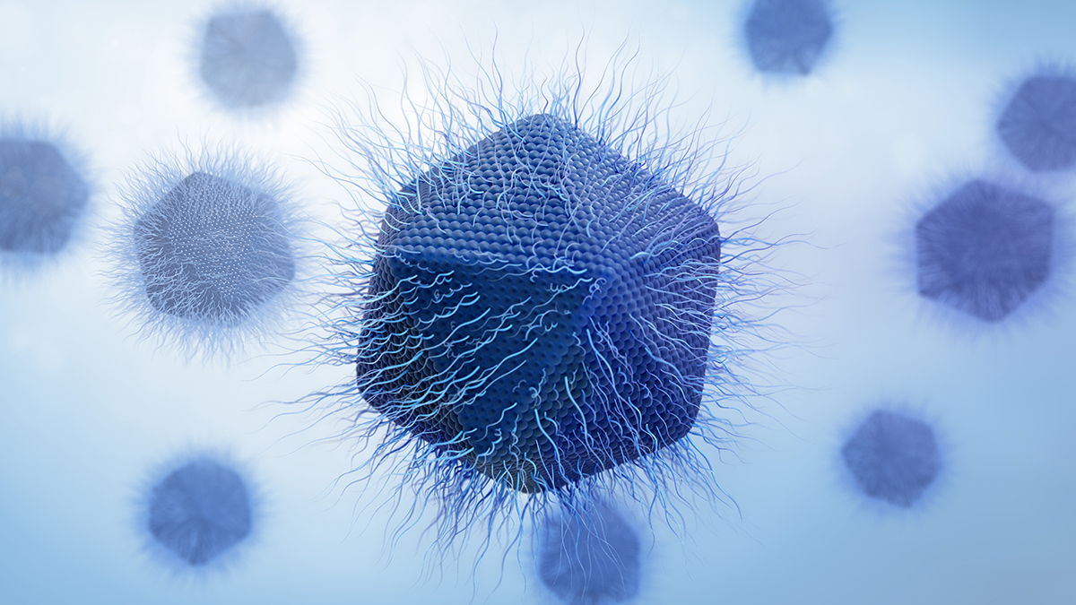 Scientists Discover New Giant Virus That Replicates in a Totally Unique Way : ScienceAlert