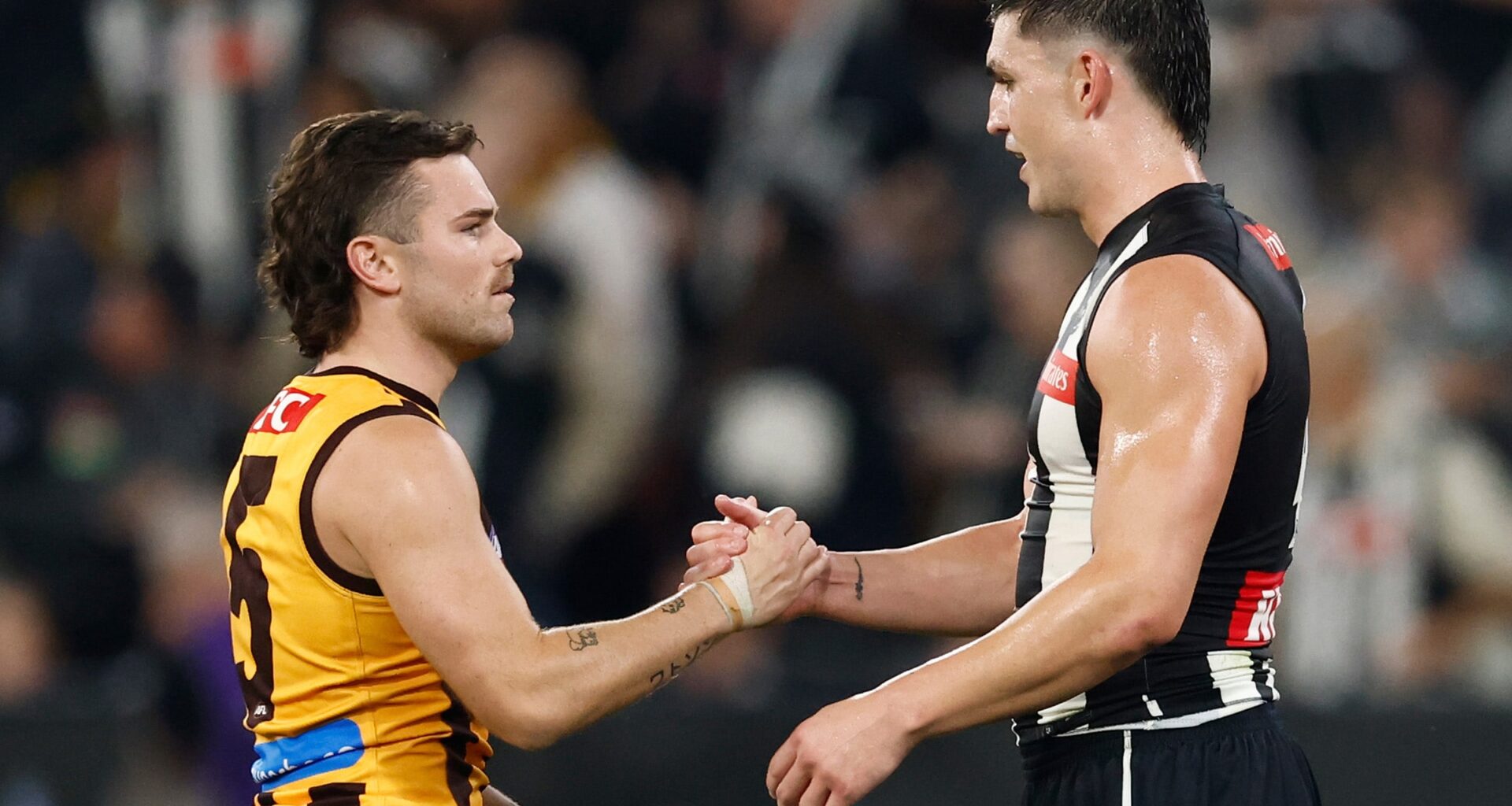 AFL responds to claims of interchange breach in Pies-Hawks draw
