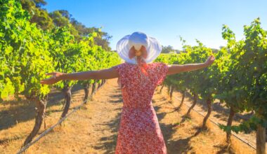 Australia shocked as government slashes wine tourism budget