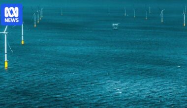 Star of the South offshore wind environmental statement highlights potential to be blown off course