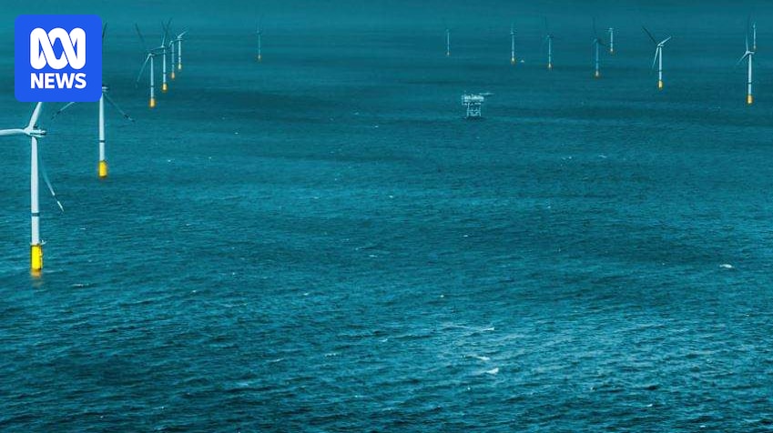 Star of the South offshore wind environmental statement highlights potential to be blown off course
