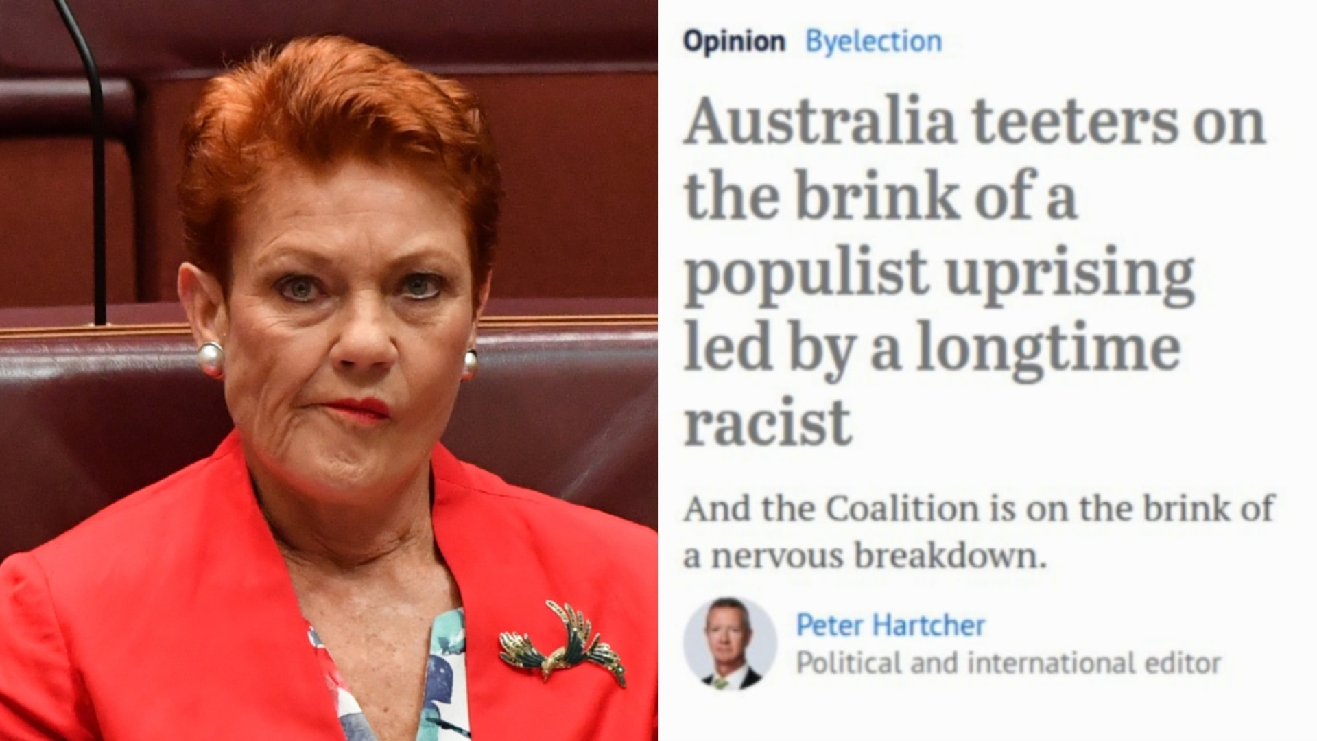 ‘Bitter, bitter people’: Pauline Hanson hits back at SMH article accusations