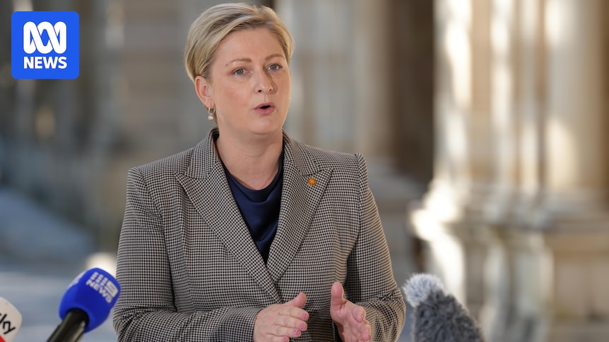 Queensland Minister Amanda Camm denies wrongdoing after shares disclosure
