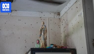 Some of Australia's most isolated residents live with black mould and broken toilets in government housing