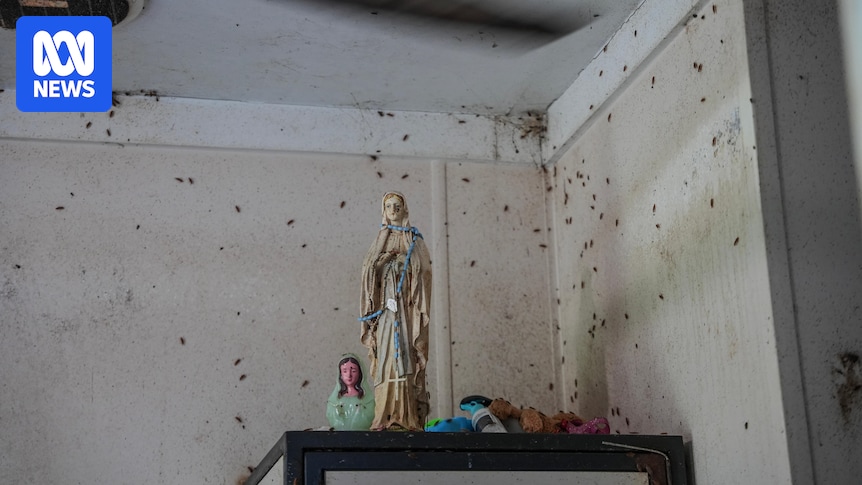 Some of Australia's most isolated residents live with black mould and broken toilets in government housing