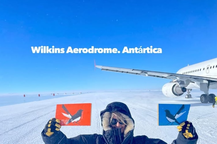 A willie wagtail painting pictured on an icy runway in Antarctica.