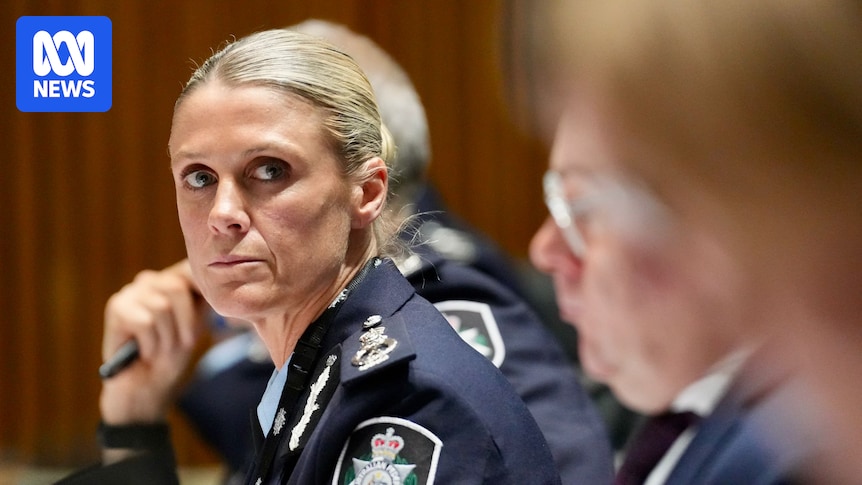 AFP Commissioner Krissy Barrett defends Ben Roberts-Smith airport arrest