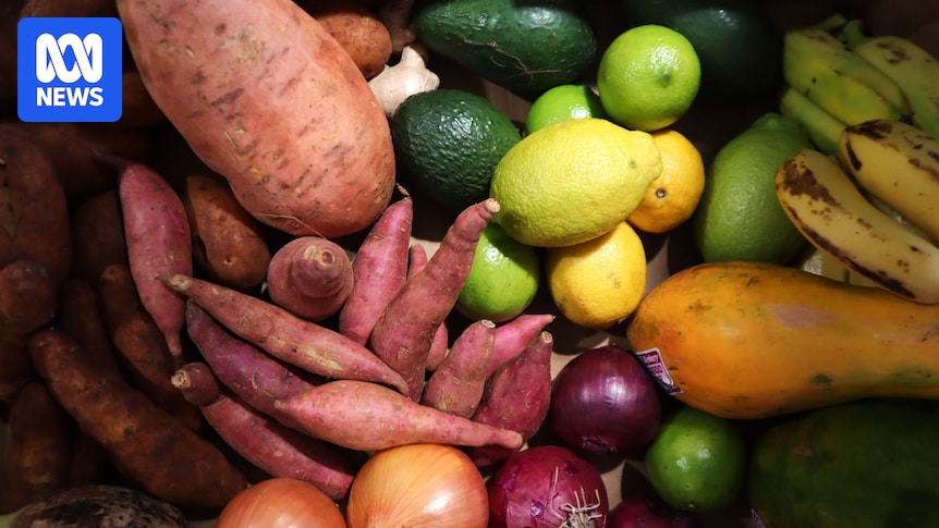 Paddock-to-plate revival as farmers farmers grapple with surging food freight costs