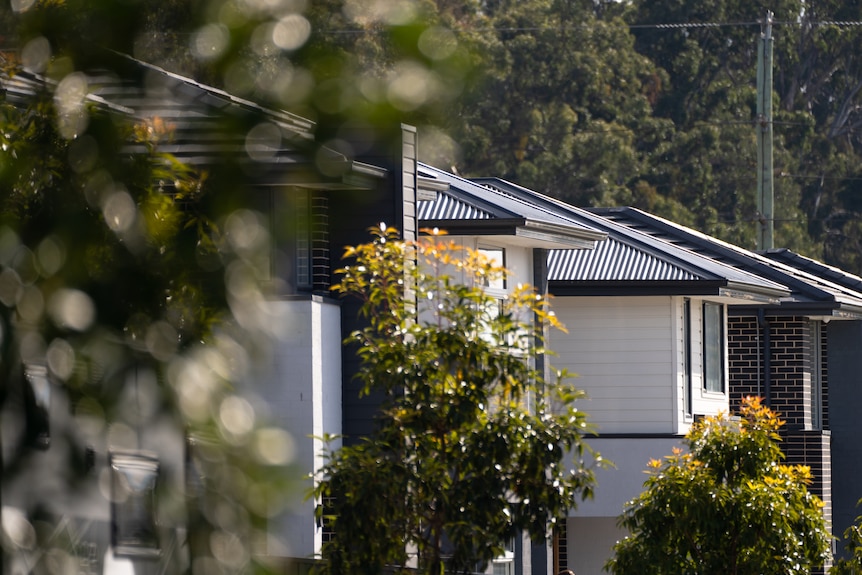 Houses under construction on a bright, sunny day