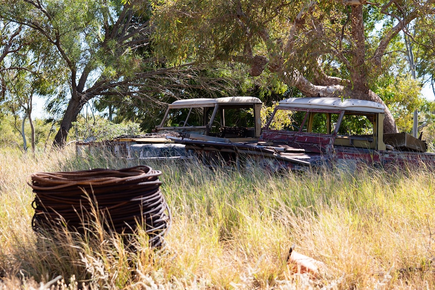 Old eighties-era trucks gather rust in yellow tall grass.