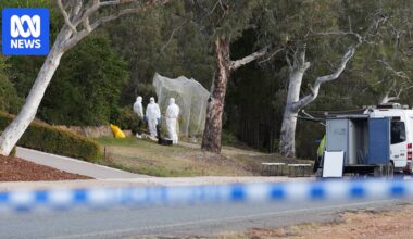 Woman dead, man arrested after stabbing in Canberra's inner north
