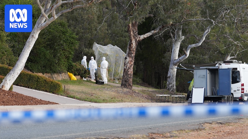 Woman dead, man arrested after stabbing in Canberra's inner north