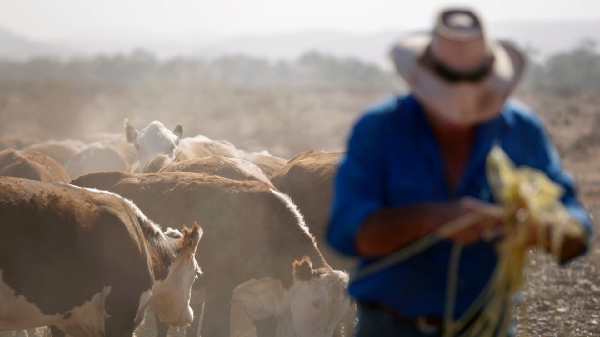 Farmers warned Labor tax changes could force land sell-offs