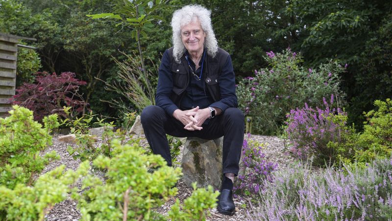 Queen guitarist Brian May barred from planting daffodils in his village on safety grounds
