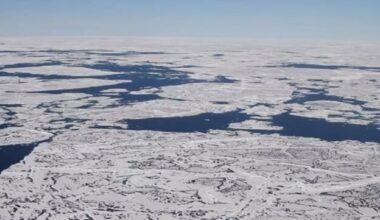 Europe Doubles Down on the Arctic to Bypass Risky Red Sea Internet Route