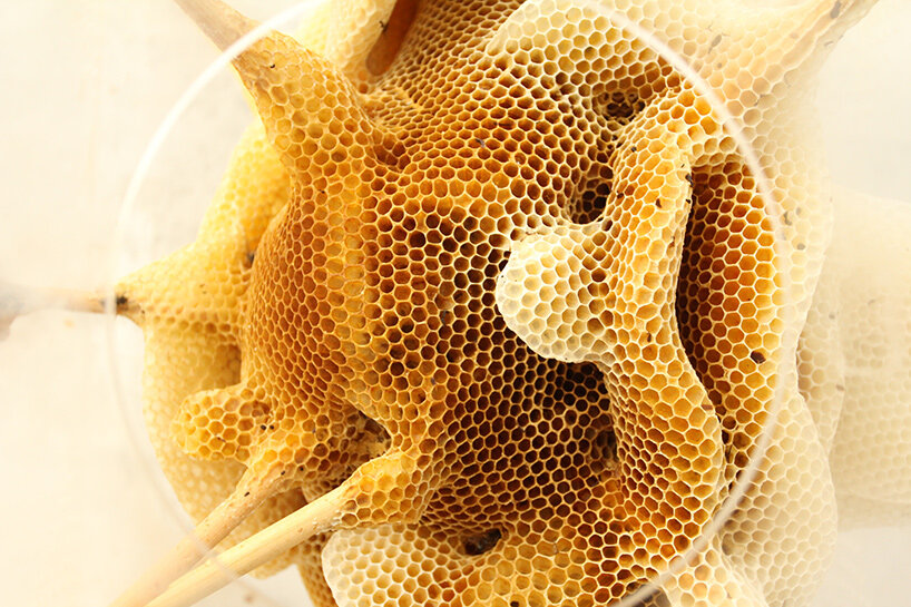 bees artists