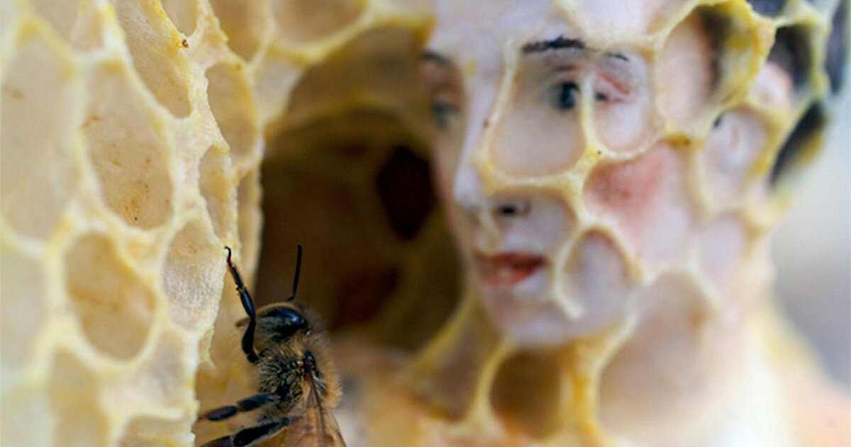 when bees become collaborators, artists learn to make by listening
