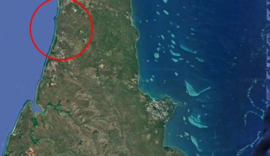 Australia on alert as invasive super pest detected for first time: ‘We’ve got an issue