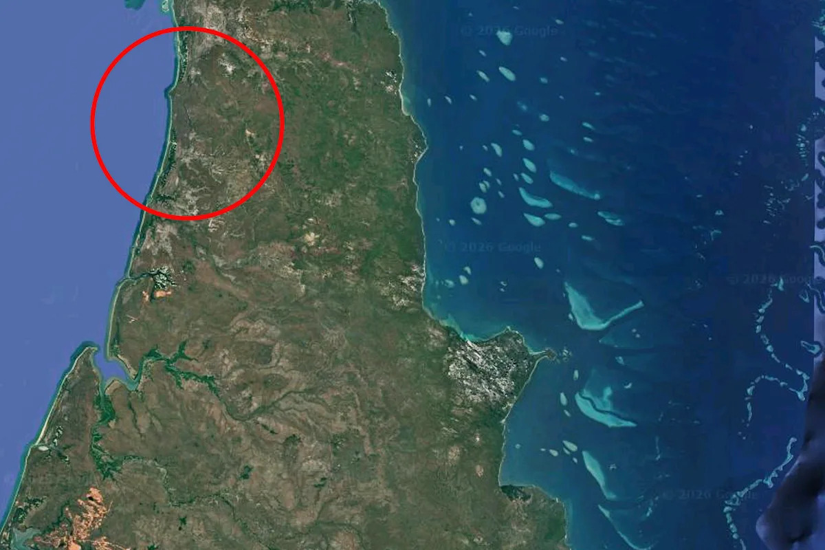 Australia on alert as invasive super pest detected for first time: ‘We’ve got an issue
