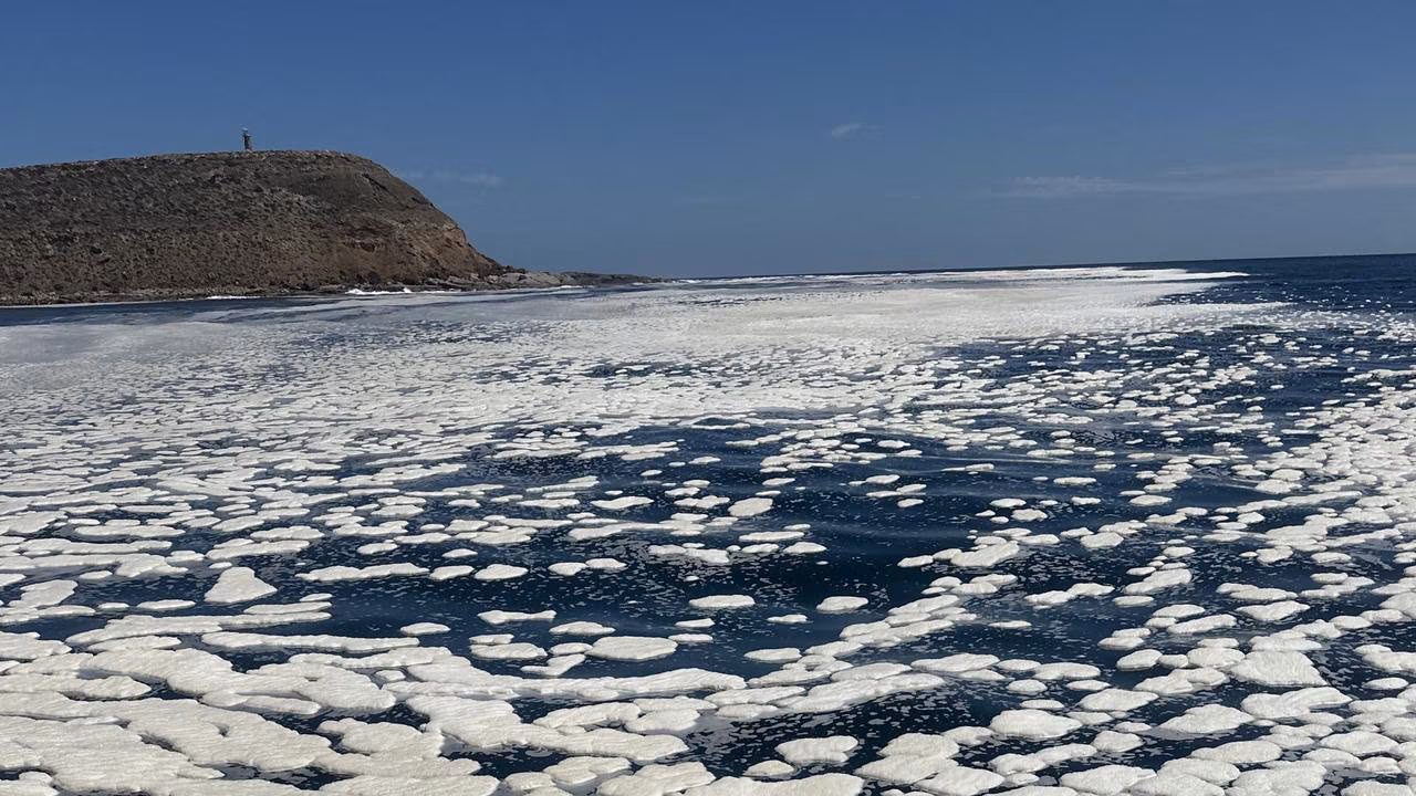 Kids News: SA bans extends fishing ban following algal bloom