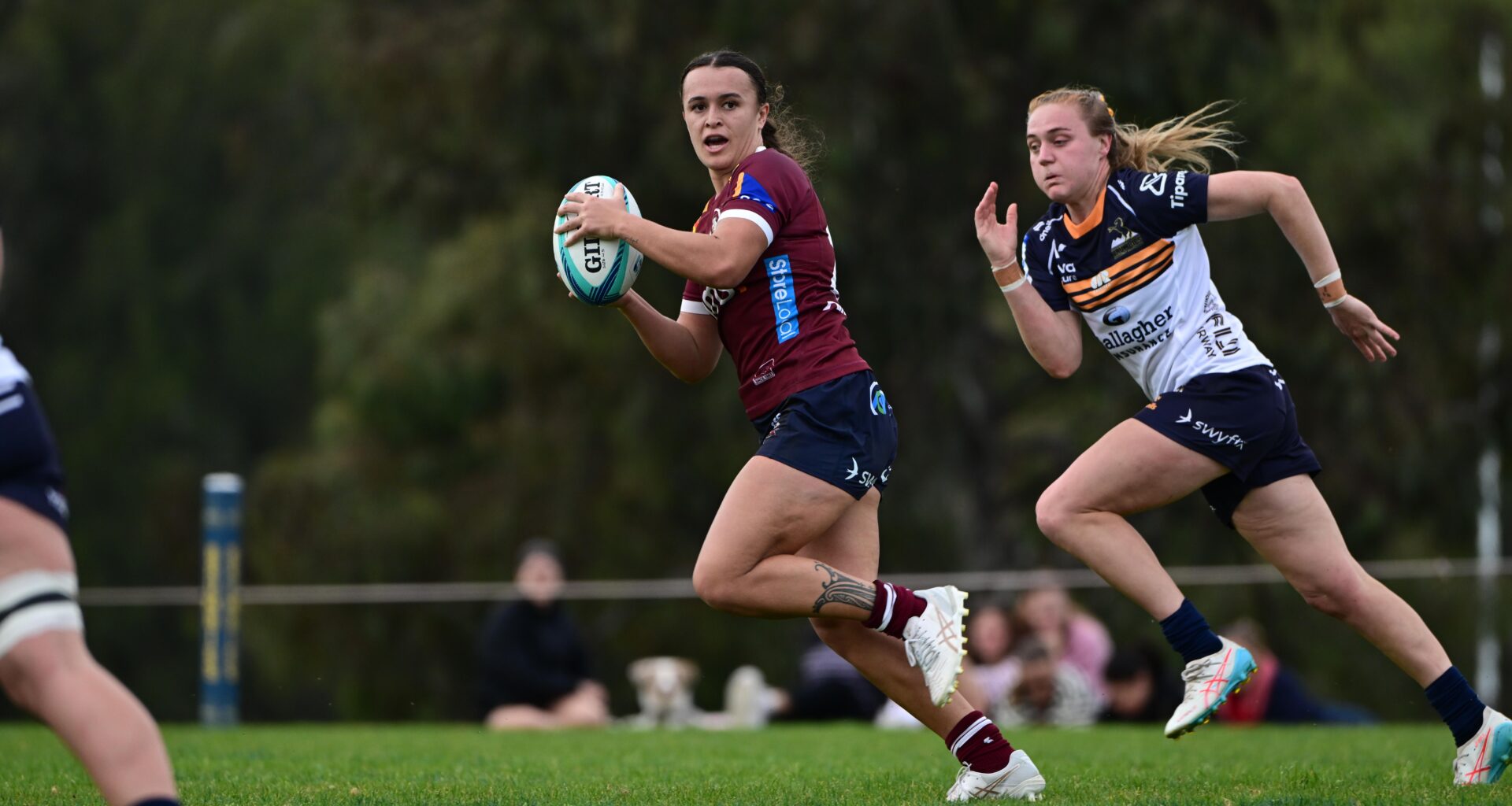 Queensland Reds Rugby