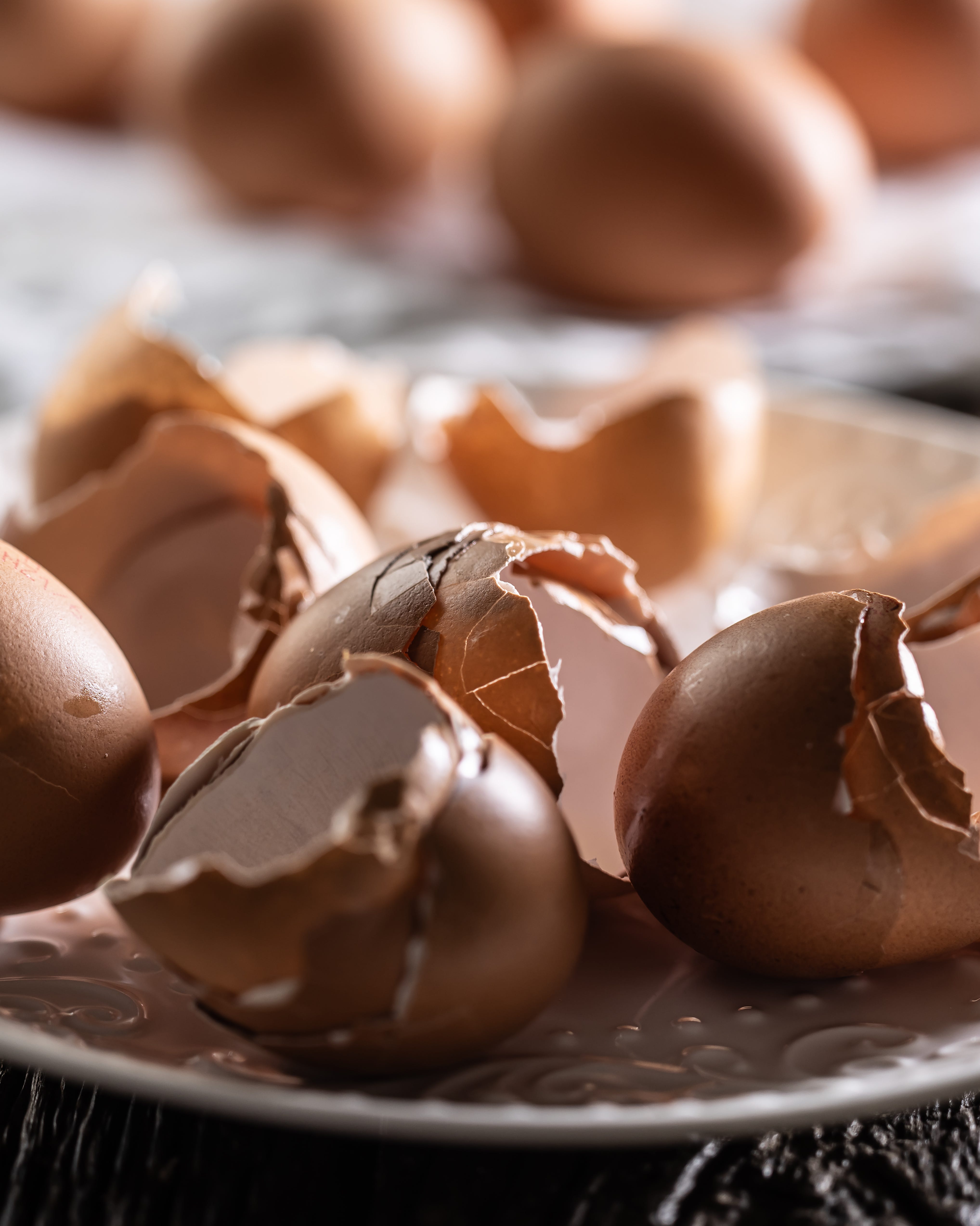 eggshells and food scraps that don't belong in the trash