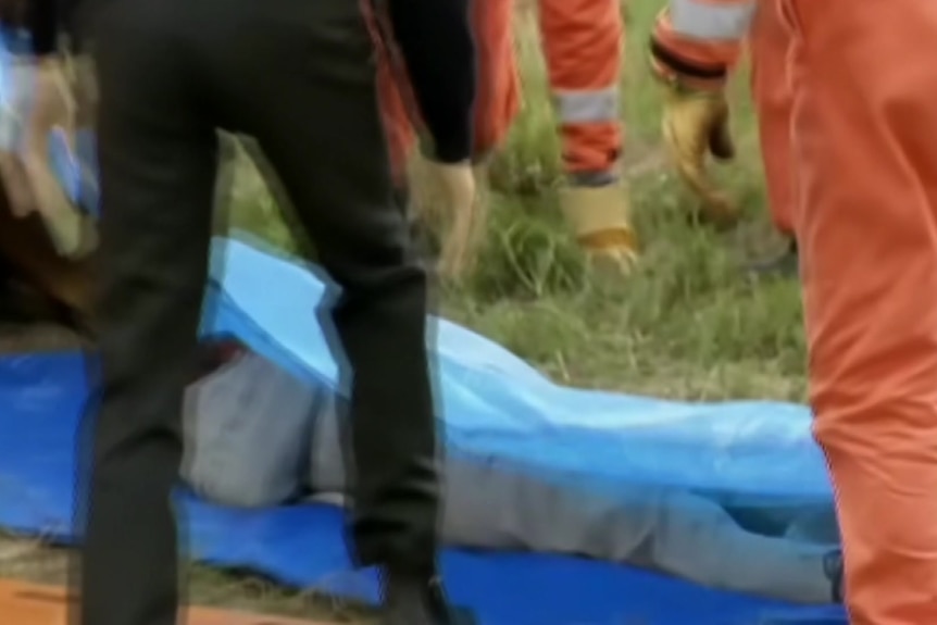 A graphic depiction of a dead body being bagged.