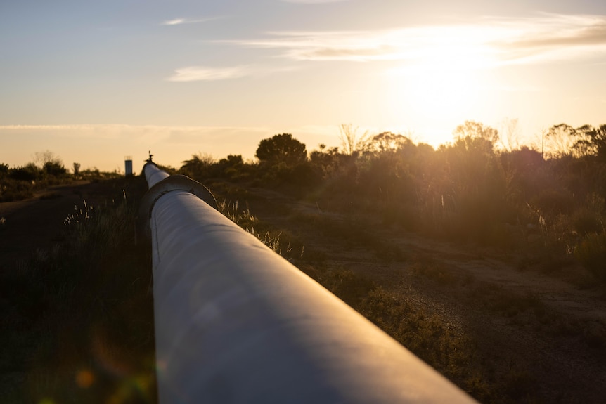A water pipeline in the outback at sunset.