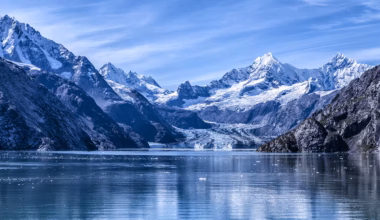 Travel Deals of the Week: My Cruises, Samsonite, Hawaiian Airlines