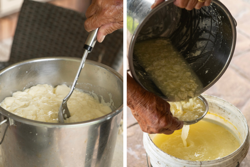 An metal bucket full of curds and the bucket being drained of whey.