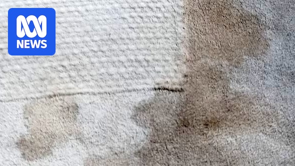 Tasmanian public housing tenants in unlivable and unhealthy conditions, and needing help from regulator
