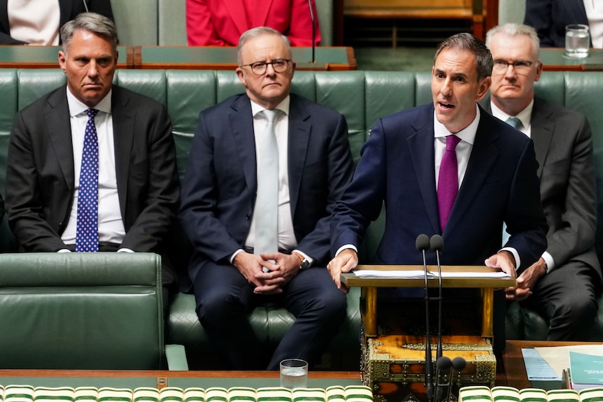 Mr Chalmers in a dark blue suit and purple tie stands at a table speaking with his colleagues behind him in parliament.