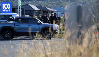 Illawarra grandmother blames horrific roadside stabbing on Ozempic