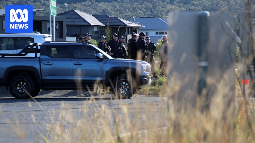 Illawarra grandmother blames horrific roadside stabbing on Ozempic