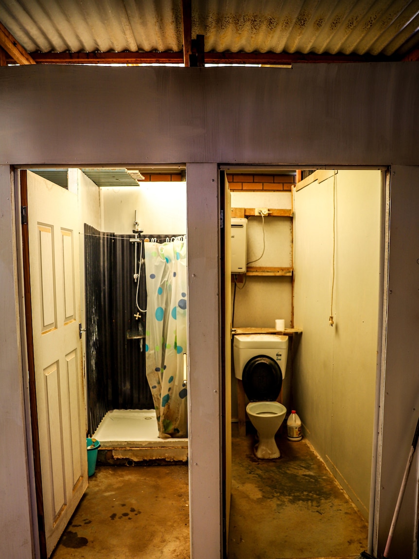 A dirty toilet and shower visible through two separate doorways within cracked and peeling paint walls