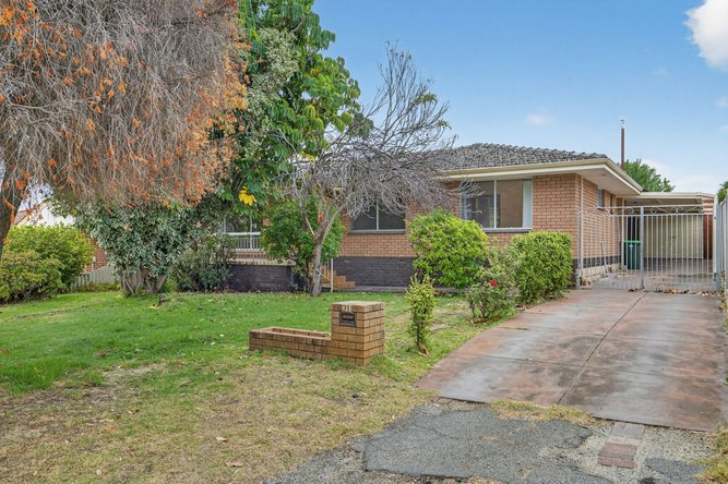$1.04million for unrenovated four by two on 769sqm block in Balga, built in 1974.