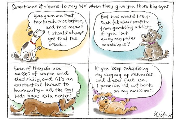 The wrong tree.