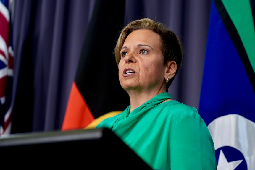A woman with short hair and bright green top stands in front of flags and a lecturn.