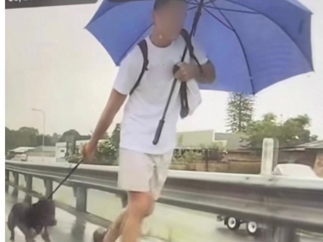 Police are looking for a man who allegedly abused a dog at Broadbeach on April 30