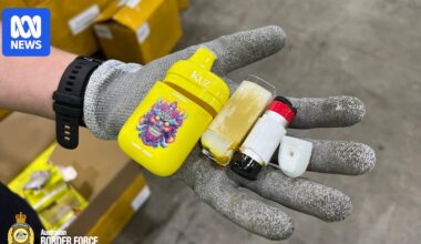 Australian Border Force seize 20 million illegal vapes since January 2024 as crackdown continues