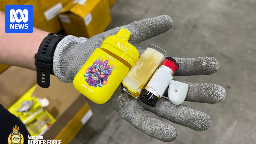 Australian Border Force seize 20 million illegal vapes since January 2024 as crackdown continues
