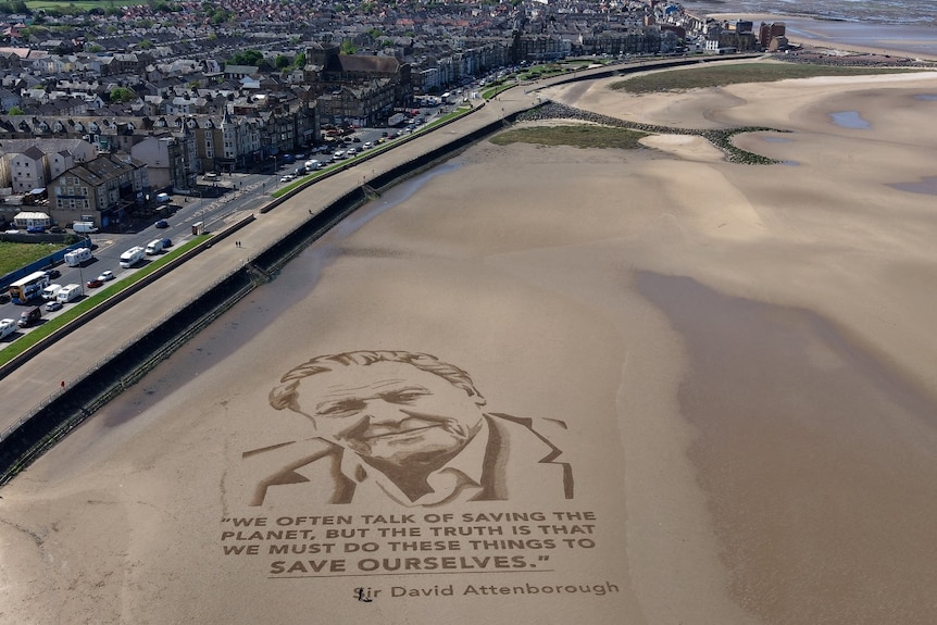 A picture of a man with a quote underneath it, carved into beach sand, seen from above.