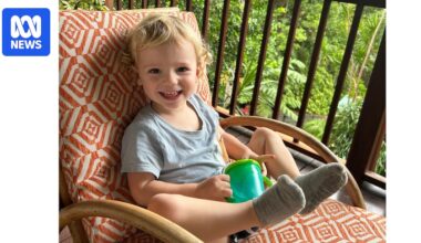 Mother's grief after toddler dies in apparent murder-suicide in Lismore