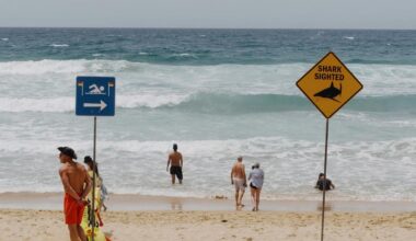 Man dies after shark bite off Western Australia coast
